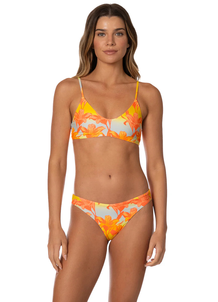 Golden Lily Sublimity Bottom